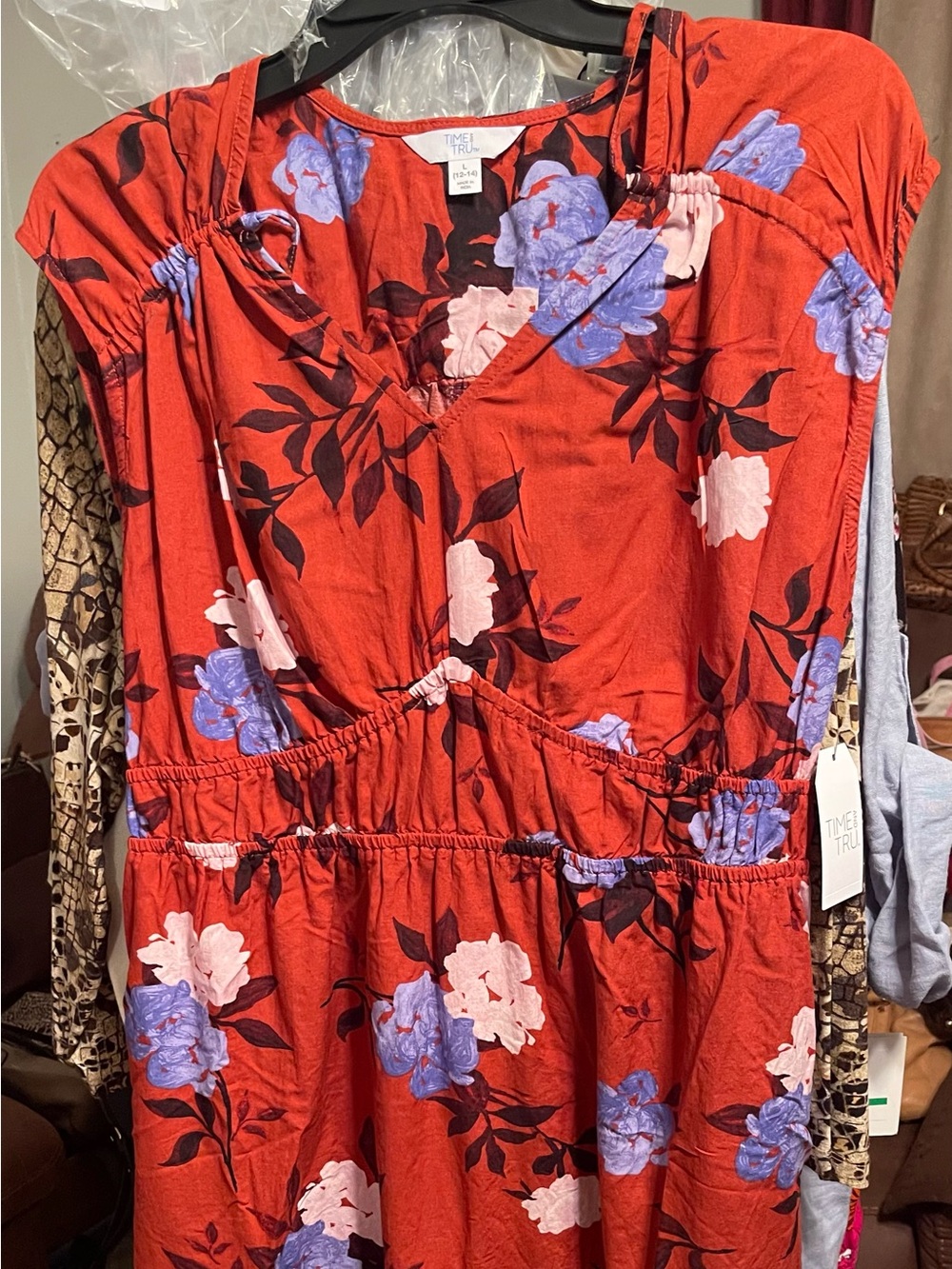 Time and Tru Red Floral V-Neck Dress with Blue and Light Pink Blooms